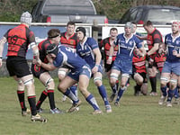 Courageous Kings denied victory at the death