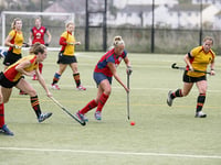 Clinical Cougars in superb victory