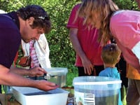 Brent Island to host first ever Family Activity Day promising fun for all ages