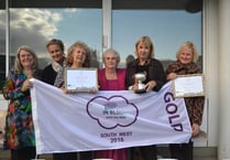 Gold medal for Dartmouth in South West in Bloom Awards