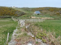 National Trust rangers give guided tours of South Hams beauty spot
