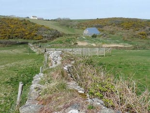 National Trust rangers give guided tours of South Hams beauty spot