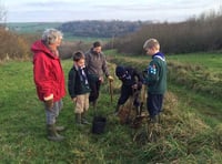 Kingsbridge Scouts plant trees to mark centenary of cub scout movement