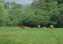 Businesses on the Two Moors Way and Erme-Plym Trail offered help to capitalise on 'growing number' of walkers