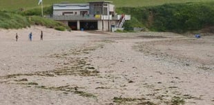 Private beaches might lose their subsidised lifeguards