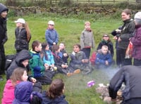 School children's exciting project with the Devon Wildlife Trust