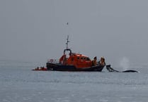 Video: Dartmouth RNLI rescues 5 men and a whale