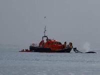 Video: Dartmouth RNLI rescues 5 men and a whale