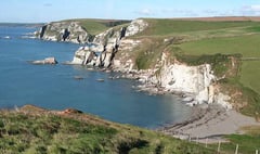 'Snakes, smugglers and seaweed' at Ayrmer Cove with Dangerous Dads