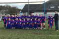 Bluebirds notch another victory in impressive debut season