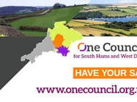 Councillors disappointed with merger survey turnout