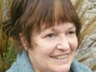 Councillor rapped over emailed insults
