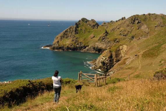 Views first, jam second: Devon ranks high for pride