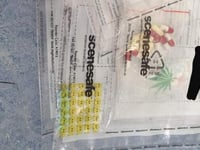 Man arrested on suspicion of drugs offences in South Hams