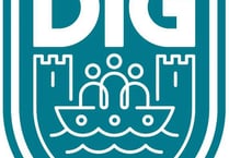 Group strives to change council