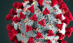 Virus figures fall but public urged to keep following rules
