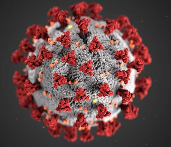 Coronavirus: Schools in South Hams enforce partial closure
