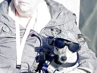 Jaxs, the dog with sunglasses, has died