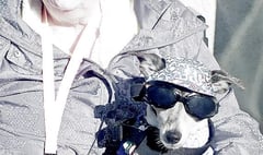 Jaxs, the dog with sunglasses, has died