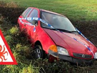 Driver who crashed 'swerved to avoid octopus'