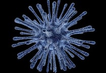 South Hams extends winning streak in virus battle