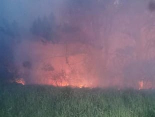 Fire crews continue to battle large gorse blaze on coast