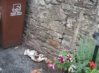 Motion sensor used in bid to snare serial pooper