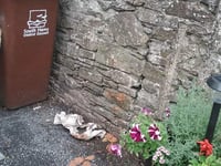 Motion sensor used in bid to snare serial pooper