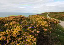 AONB to run a series of walks for people aged 55+