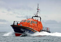 Coastguard and RNLI rescue dog fallen from cliffs