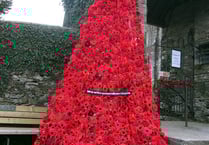 Knitters create stunning poppy display