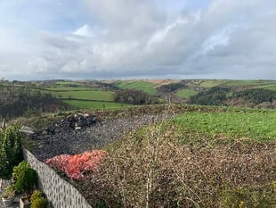 Developer who destroyed woodland could avoid prosecution