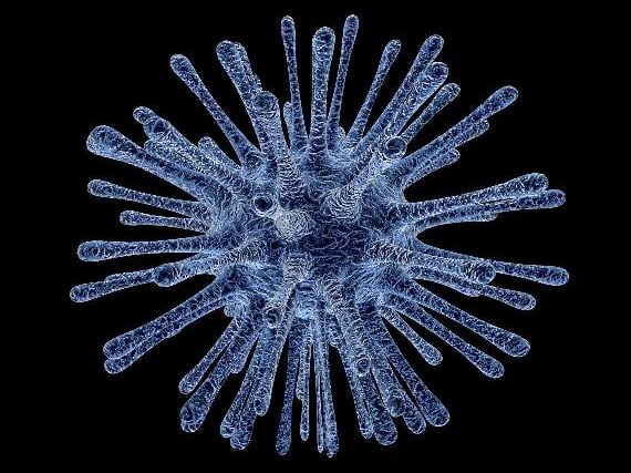 South Hams keeping clear of infection