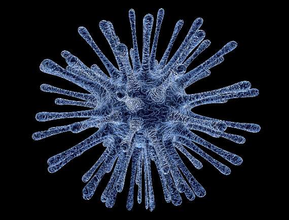 South Hams keeping clear of infection