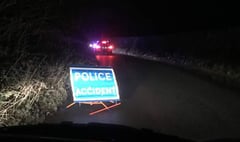 Man hurt after van crashes into hedge on road to Newton Ferrers