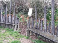 Green spaces in good hands