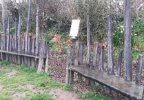 Green spaces in good hands