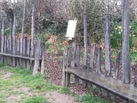 Green spaces in good hands