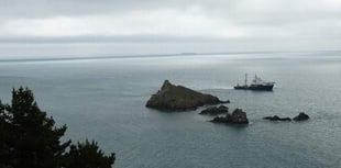 Protect Mewstone seabirds at Wembury