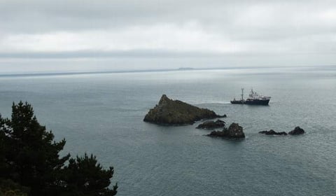 Protect Mewstone seabirds at Wembury
