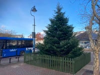 Tree arrives in Kingsbridge