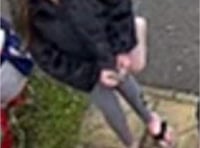 Appeal to find girl missing from Newton Abbot