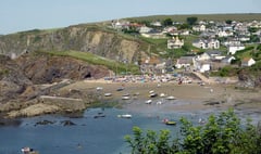 ‘Beautiful walks’for the weekend in the South Hams 