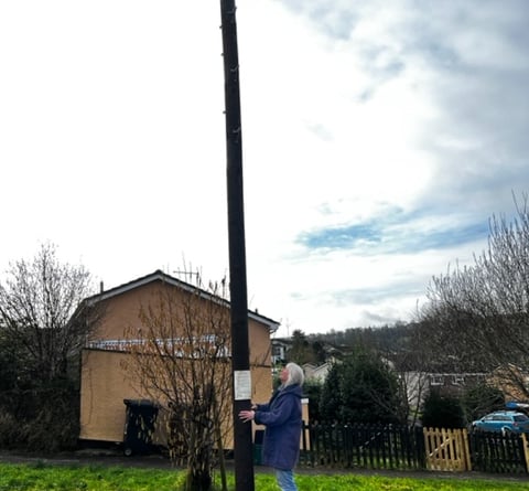 Resident Sue Mistlebrook with a new pole on the corner of Furze Road and Rush Way, Bridgetown