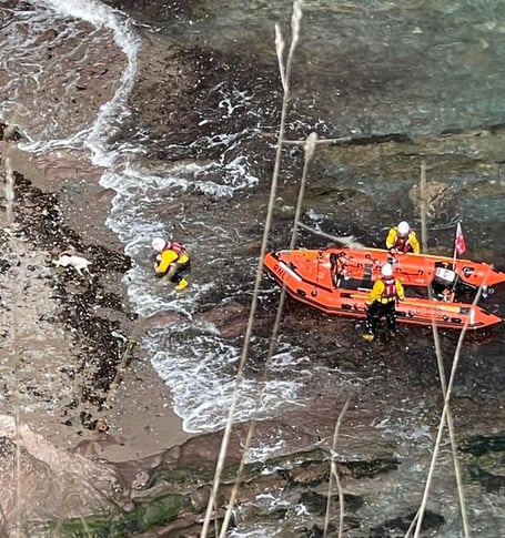 A dog was rescued after falling over a cliff edge in Devon on Sunday. Dartmouth Coastguard Rescue Team was called to Shinglehill Cove near Dartmouth at 11:00 BST after a dog called Bella fell over the edge of the cliff.See SWNS story SWPLcliff.