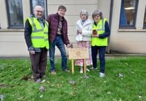 Crocus highlights polio drive