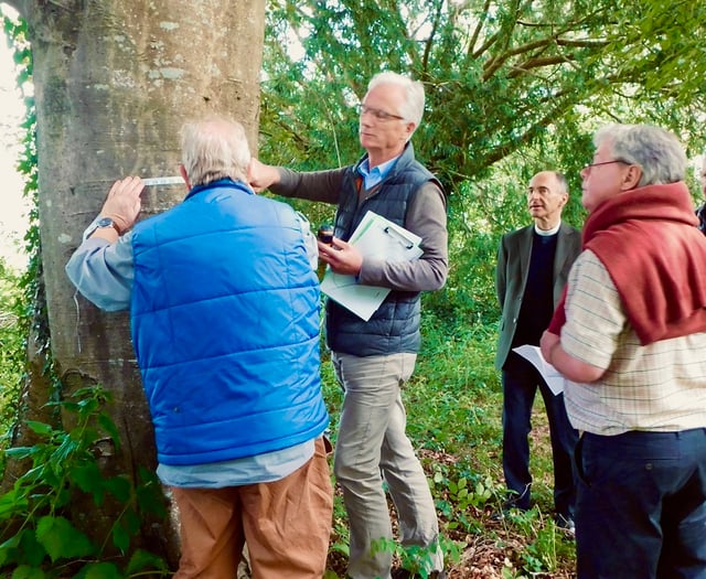 Archdeacon of Totnes meets South Hams tree wardens