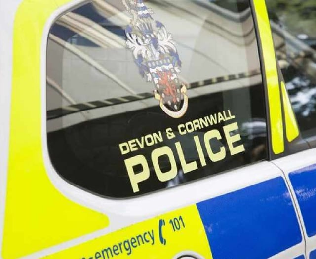 Police update after spate of vehicle thefts in Devon

