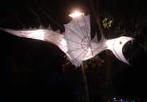 Floral Dances, Glove Hanging,  and Samba delight Fair goers