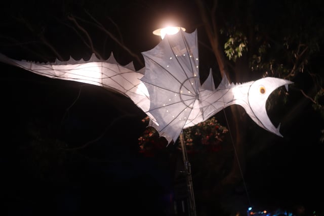 Floral Dances, Glove Hanging,  and Samba delight Fair goers